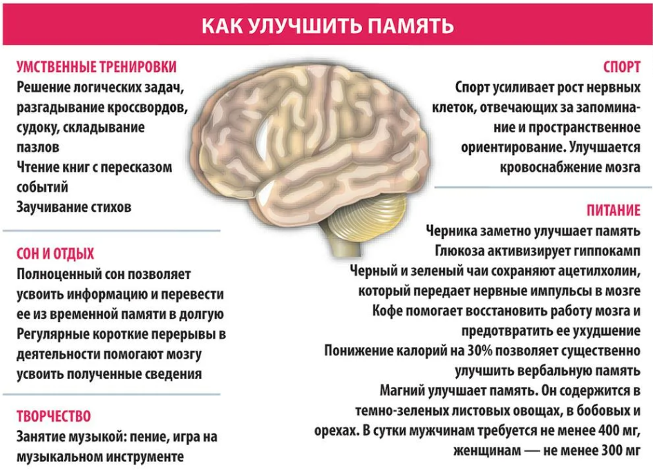 Проблемы с памятью и когнитивные нарушения. Профилактика и лечение